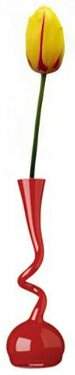 jarr&oacute;n rojo y tulip&aacute;n