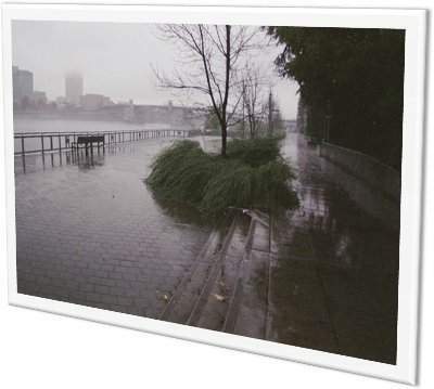 lluvia y viento