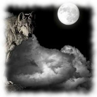 La luna y el lobo