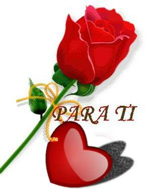 Una rosa para ti, y t&uacute; sin darte cuenta