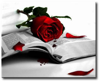 Regalo de cumplea&ntilde;os