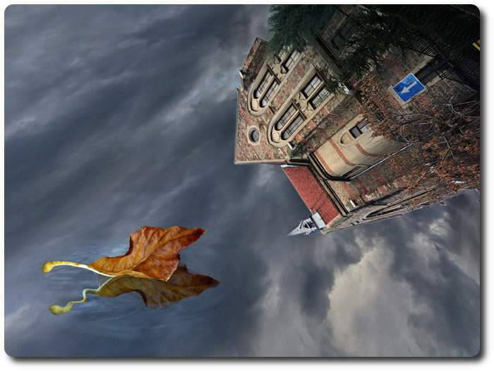 viento de jojas rotas