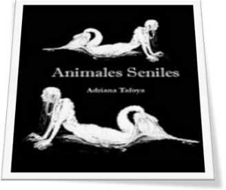 animales seniles