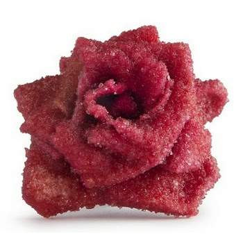 rosa escarchada