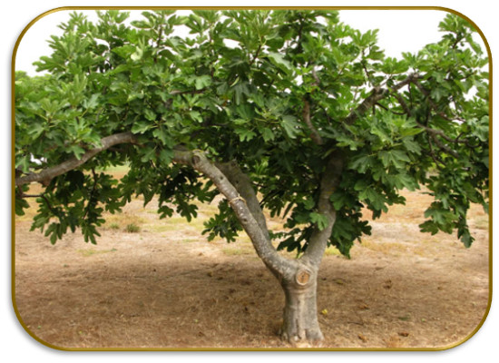 poema de  Francisco Javier Irazoki