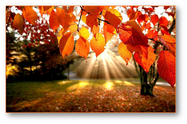 poemas de Ignacio Vleming 