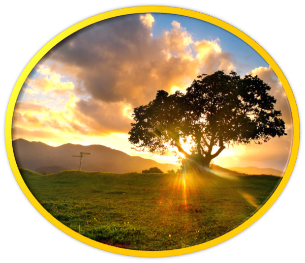 poemas de Inmaculada Nogueras 