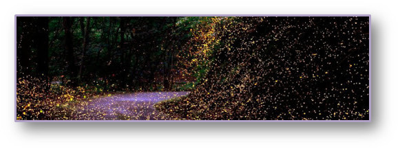 poema de Jose Carlos Vara L&oacute;pez 