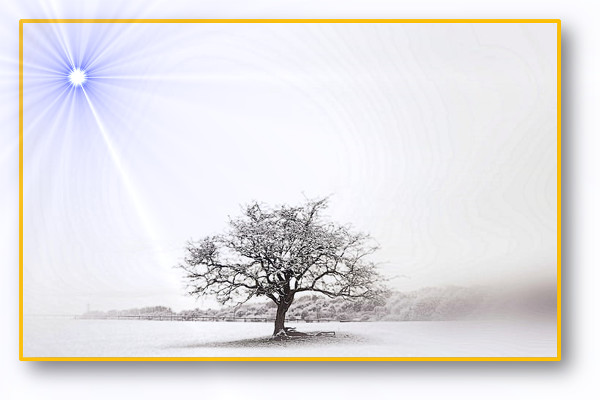 poema de   Mercedes Mart&iacute;nez