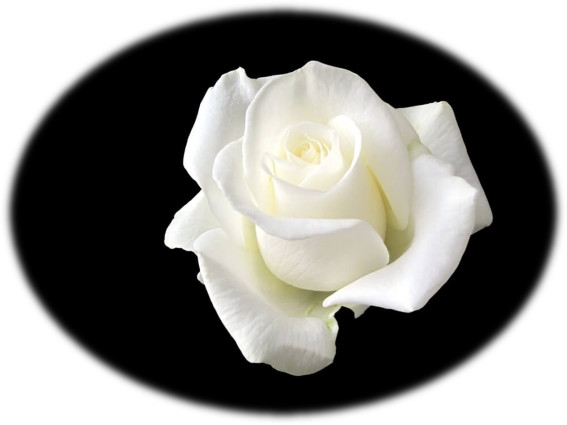 Relato de Sarilis Montoro 