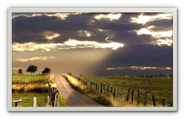 Camino de paz ,poema de M&ordf; Esther Ruiz
