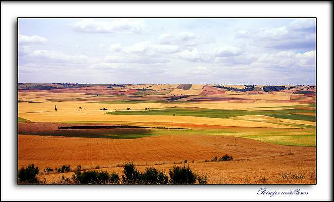 Castilla , poema de M&ordf; Esther Ruiz