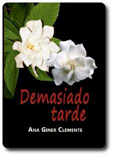 demasiado tarde, de Ana Giner