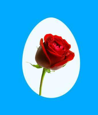 M&ordf; Esther Ruiz Zumel, poeta 