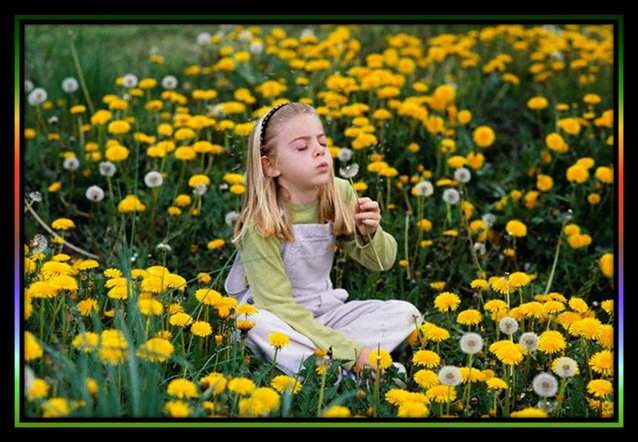 Mala hierba, poema de Lina Cer&oacute;n 