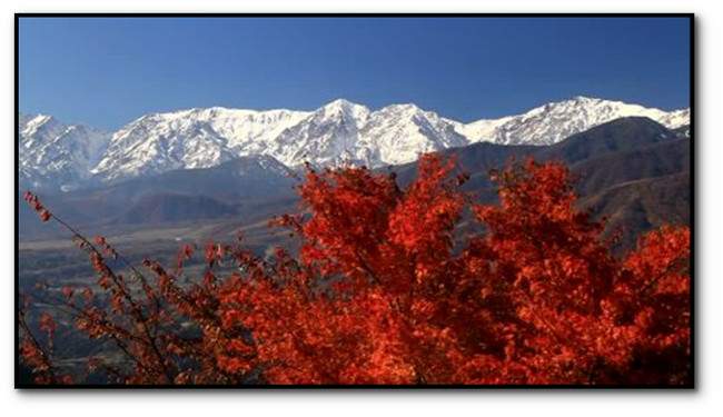 Nieve de oto&ntilde;o, poema de &Aacute;ngela Stol