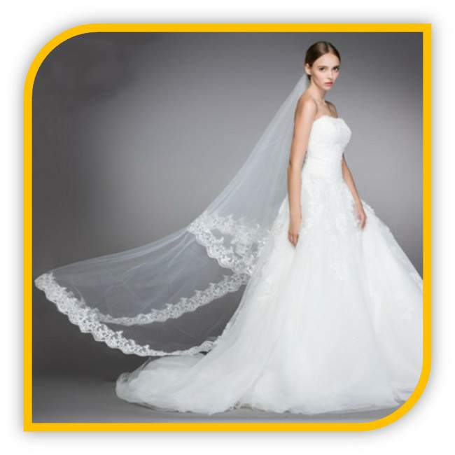 Novia perpetua, 