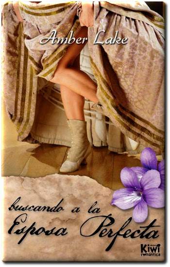 Portada de Buscando a la esposa perfecta