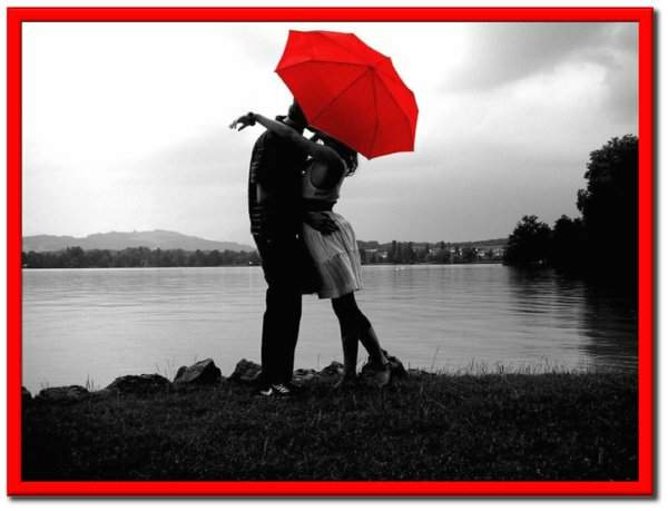 !Te quiero&iexcl;, poesia