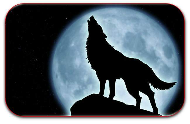 A la luna, poema de M&ordf; Esther Ruiz