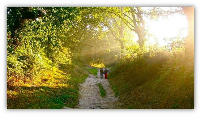 caminos,poema de M&ordf; Esther Ruiz