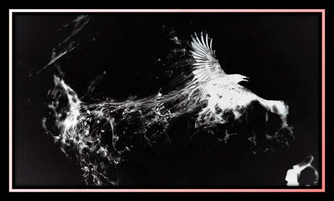 el cuervo nocturno,poema de M&ordf; Esther Ruiz