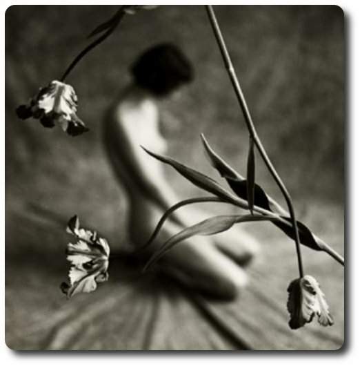 Letan&iacute;a, poema de Lina Cer&oacute;n