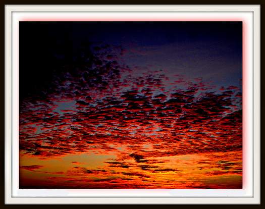 el mi&ntilde;o de la mandragora, poema