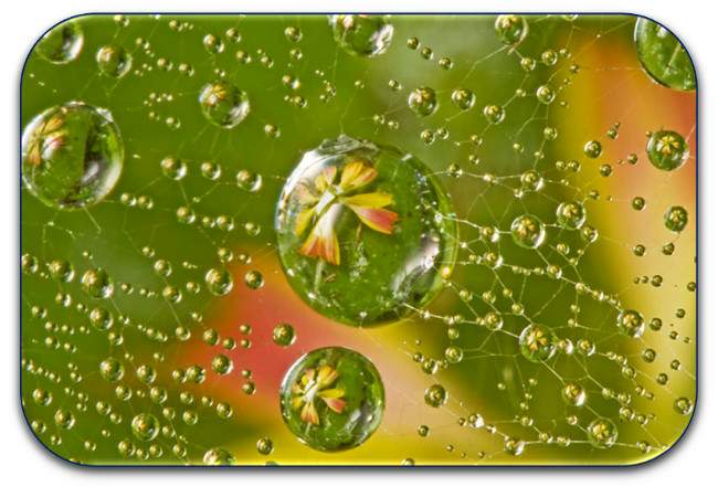 Perlas de lluvia, poema de M&ordf; Esther Ruiz