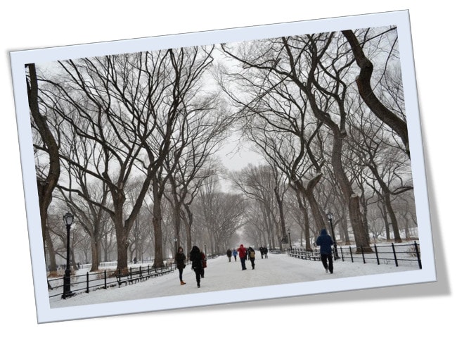 poema de M&ordf; Esther Ruiz