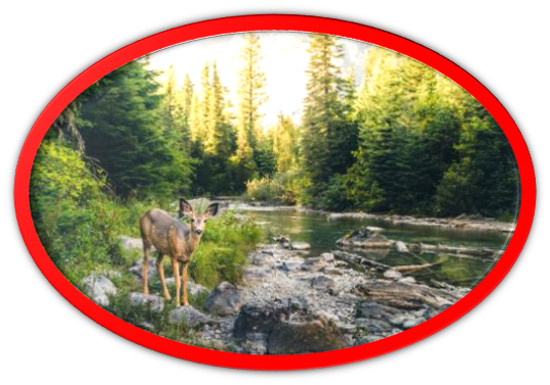 poes&iacute;a de M&ordf; Esther Ruiz