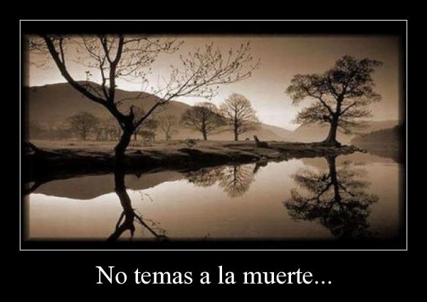 poes&iacute;a de M&ordf; Esther Ruiz