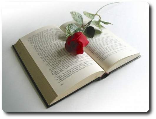 oda al poema perfecto, poes&iacute;a de Lumy Quint