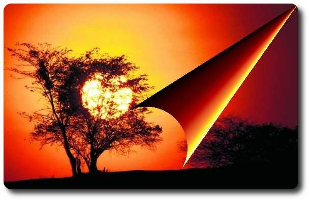 Solsticio en la ma&ntilde;ana, poema de  Macarena Cardozo