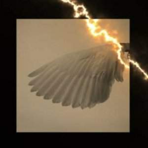 cortas mis alas