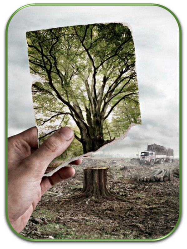 poema de Daniel Cubas