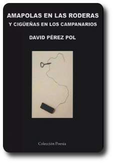libro de David P&eacute;rez Pol