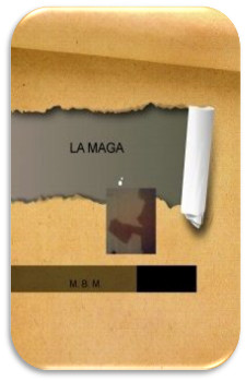 portada de La maga