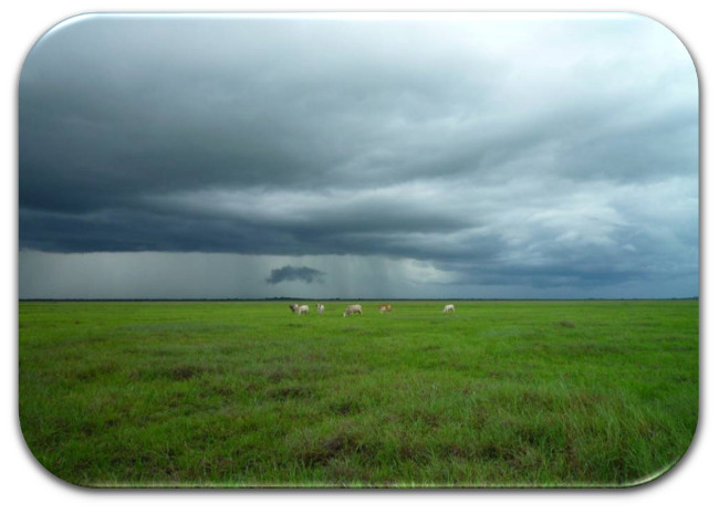 poes&iacute;a de Yv&aacute;n Yauri