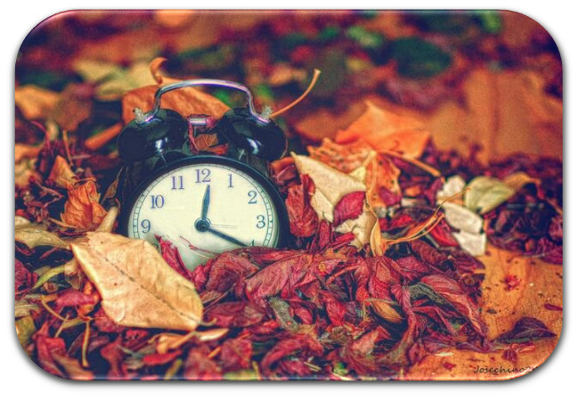 poes&iacute;a de Yv&aacute;n Yauri