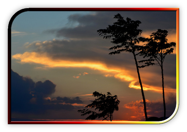 poes&iacute;a de Yv&aacute;n Yauri