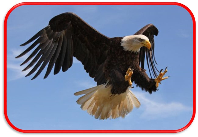 poema de Isabel Blano