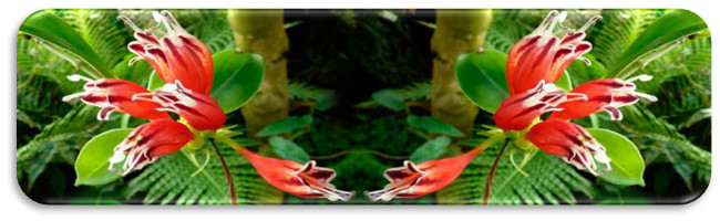 poema de Marisa Lozano Fuego