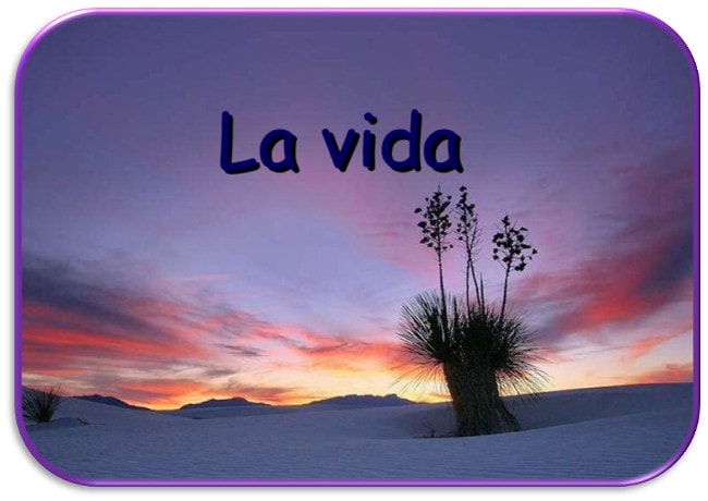 poema de Oana Frumuzache