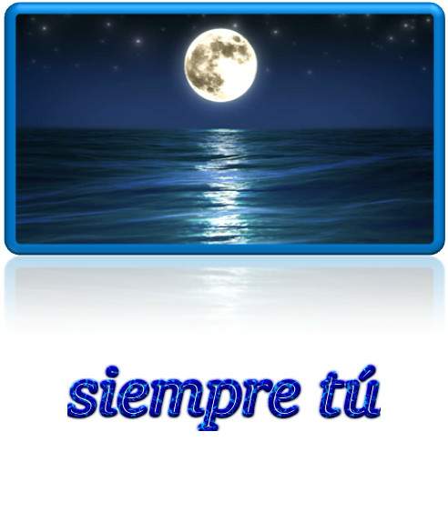 siempre t&uacute;